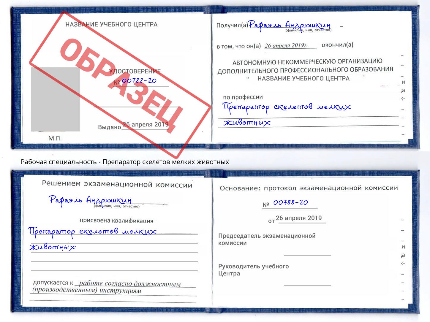 Препаратор скелетов мелких животных Рязань