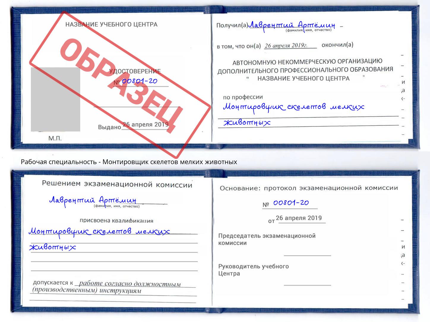 Монтировщик скелетов мелких животных Рязань