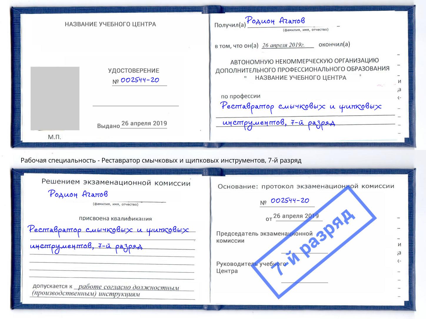 корочка 7-й разряд Реставратор смычковых и щипковых инструментов Рязань