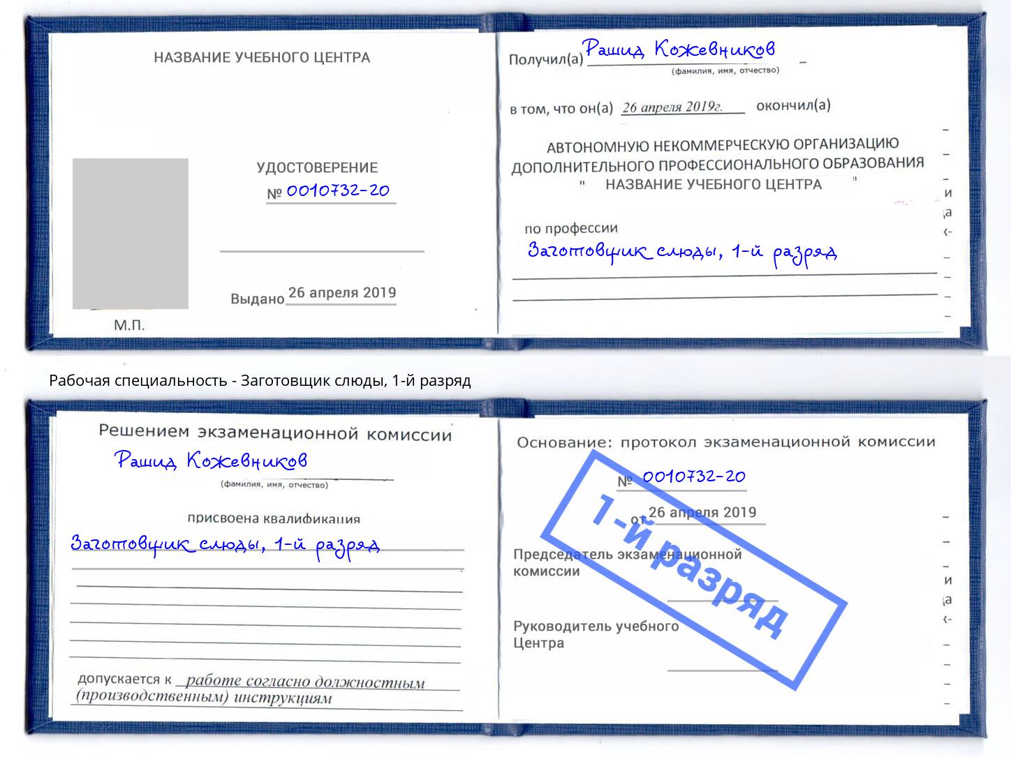 корочка 1-й разряд Заготовщик слюды Рязань